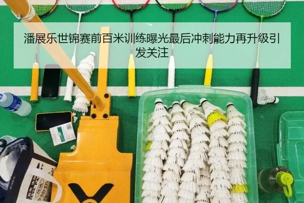 潘展乐世锦赛前百米训练曝光最后冲刺能力再升级引发关注